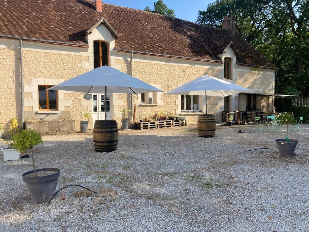 Les Pierres D'Aurele Chambres D'Hotes Saint-Georges-sur-Cher Buitenkant foto