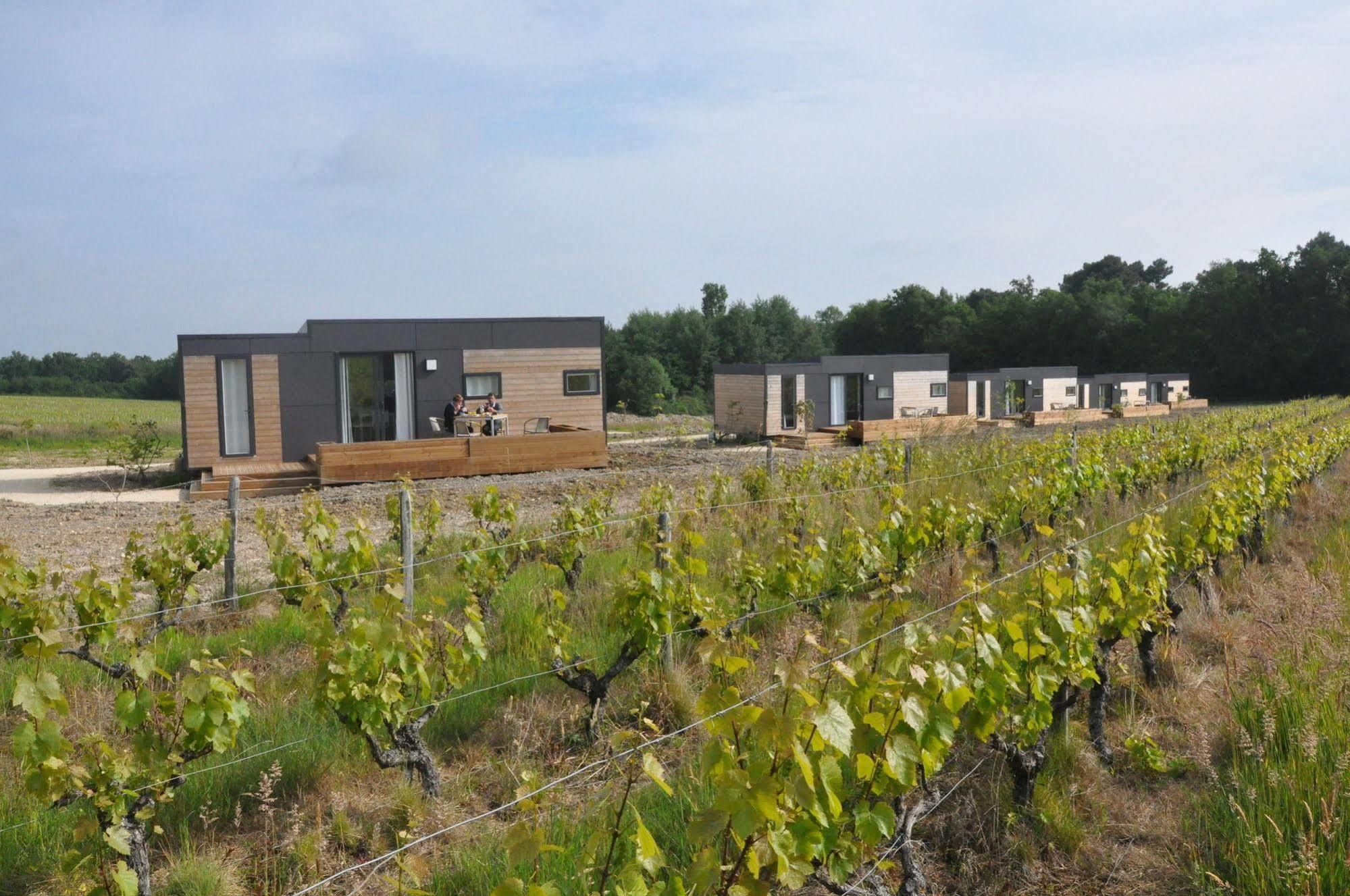 Les Pierres D'Aurele Chambres D'Hotes Saint-Georges-sur-Cher Buitenkant foto